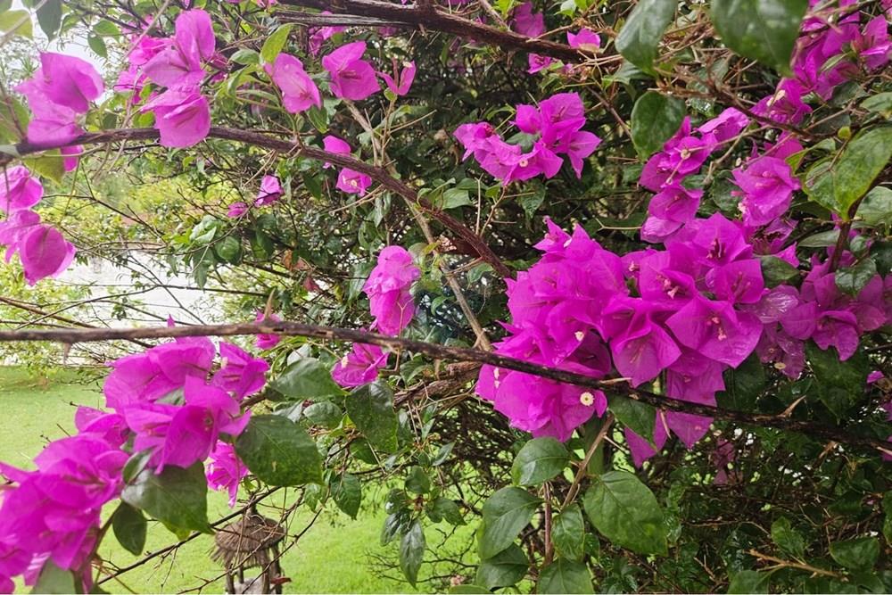 Casa de Condomínio - Alugar - Vinhedo , São Paulo - WhatsApp Image 2026-03-02 at 15.36.21.jpeg - 690681046-268