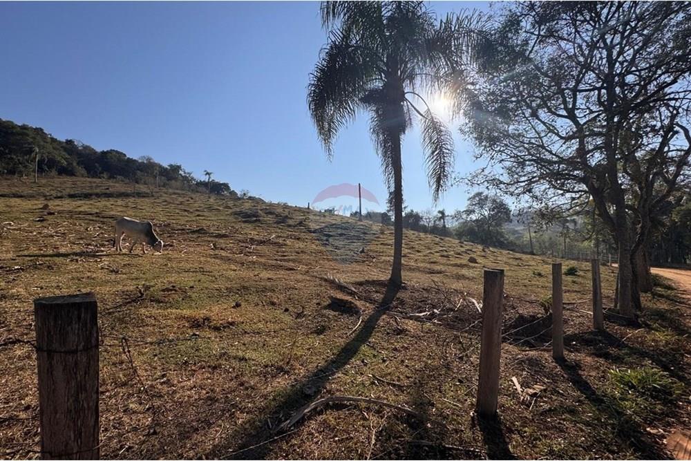 Terreno - Venda - Tuiuti , São Paulo - WhatsApp Image 2025-10-14 at 10.53.31.jpeg - 690041052-114