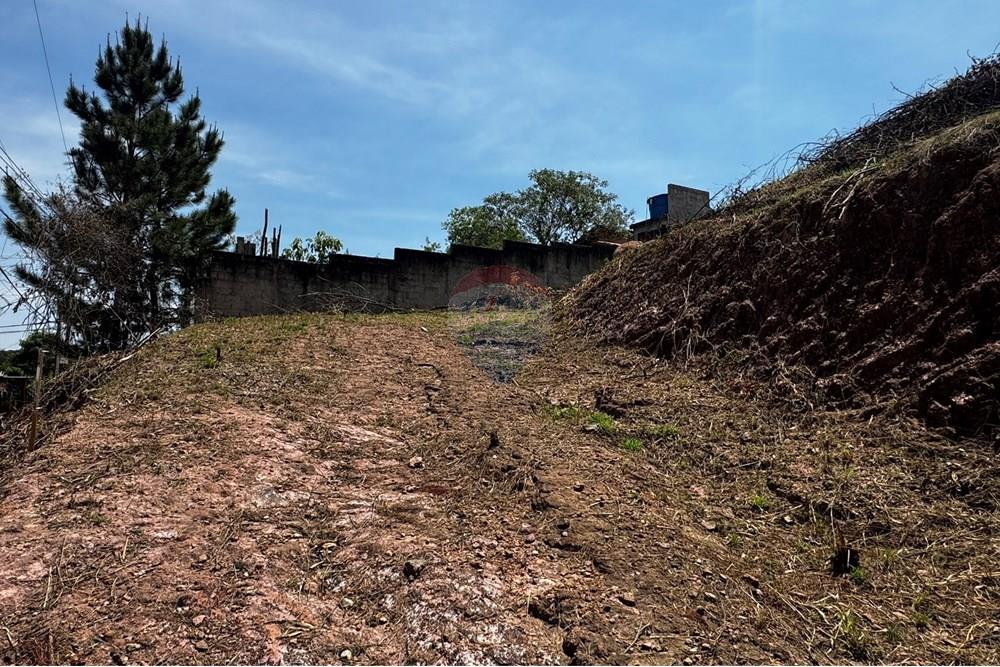 Terreno - Venda - Jarinu , São Paulo - IMG_3328.JPEG - 691121003-32