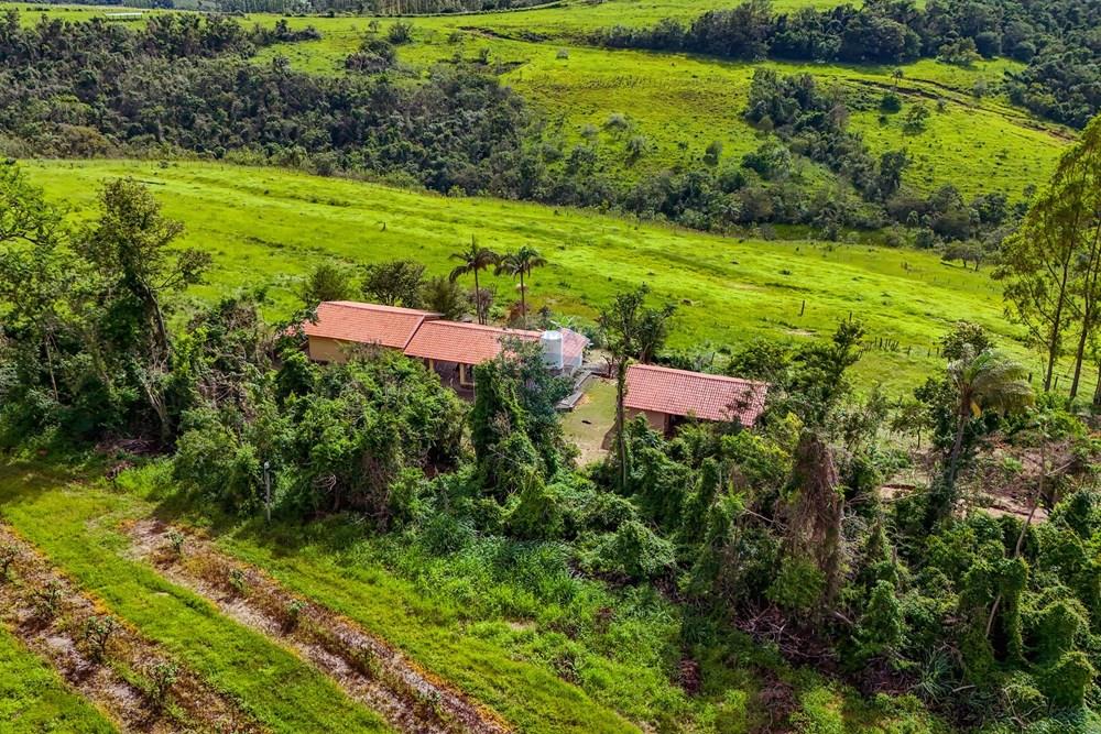 Fazenda - Venda - Analândia , São Paulo - Tratada - Drone-57.jpg - 690691016-305