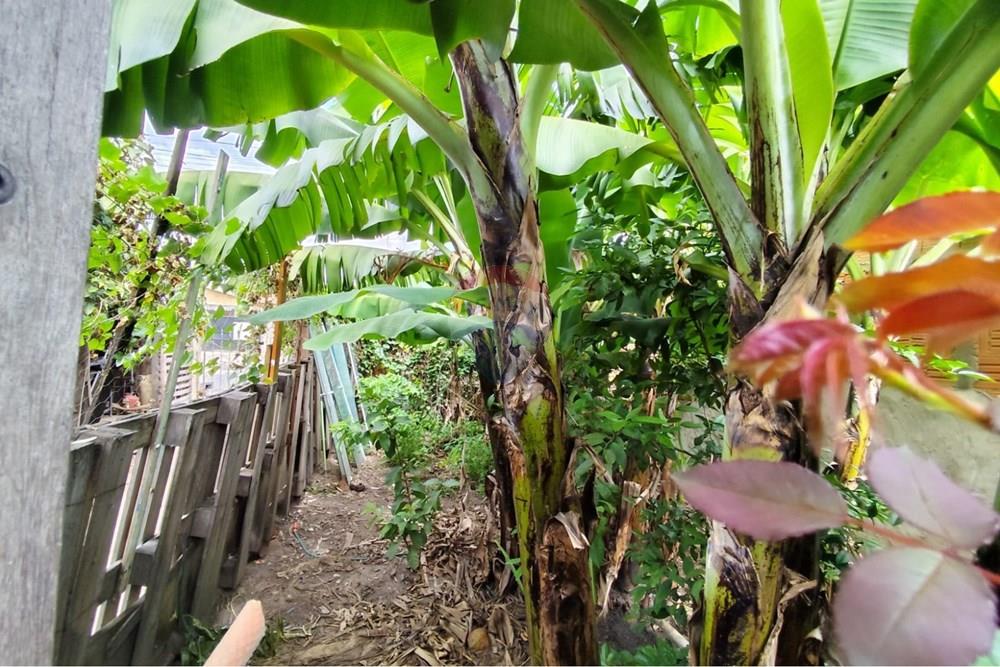 Terreno - Venda - Monte Mor , São Paulo - WhatsApp Image 2026-04-02 at 10.04.13 (1).jpeg - 690531126-34