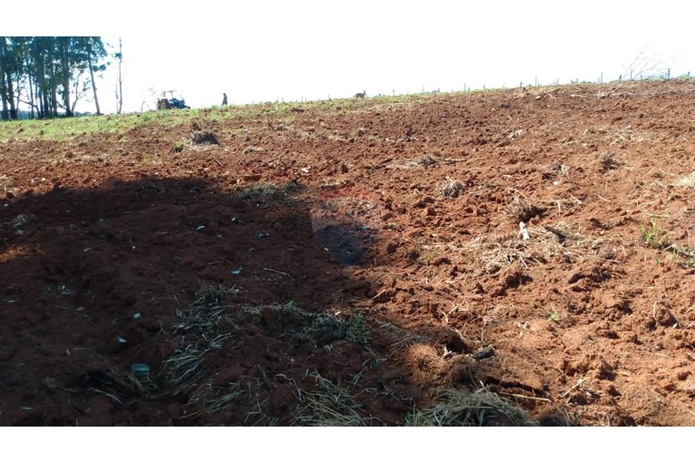 Fazenda - Venda - Campestre , Minas Gerais - 0fdfd68c-f9f5-48b8-b042-7e35a9160542.jpg - 690291077-293