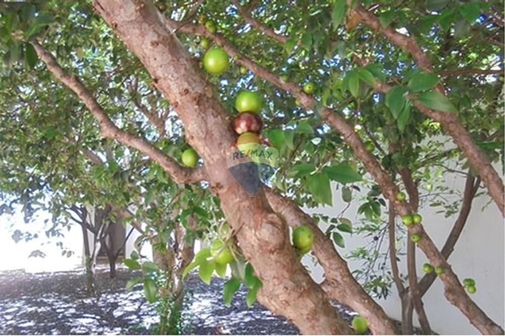 Casa - Alugar - Americana , São Paulo - c60.jpg - 691071028-10