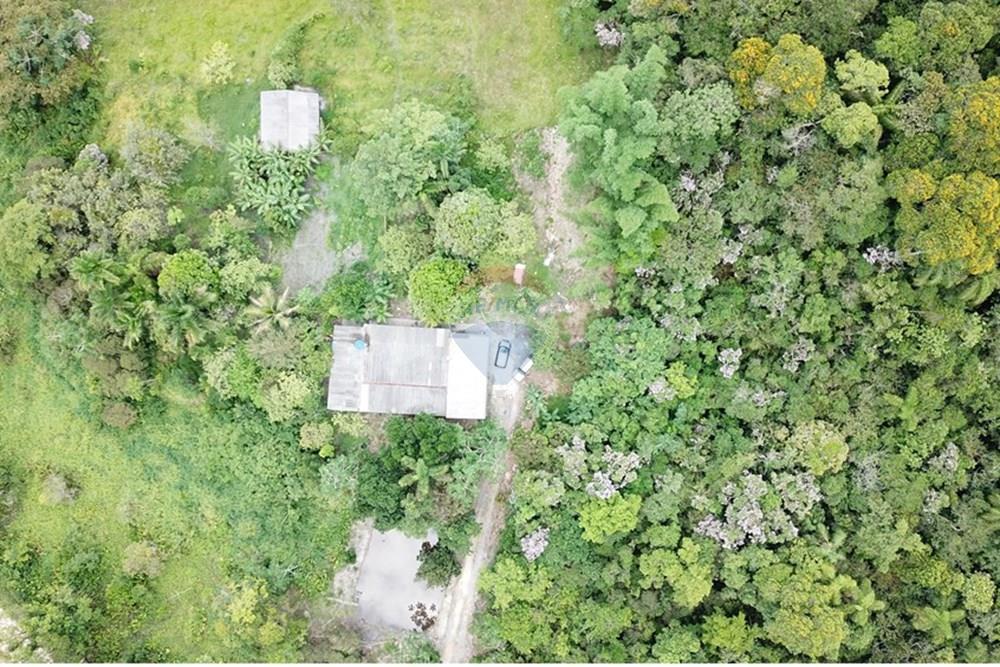 Fazenda - Venda - Sete Barras , São Paulo - FB0383592D5B08A056E8401A1DEDE5FD.jpg - 690061038-19