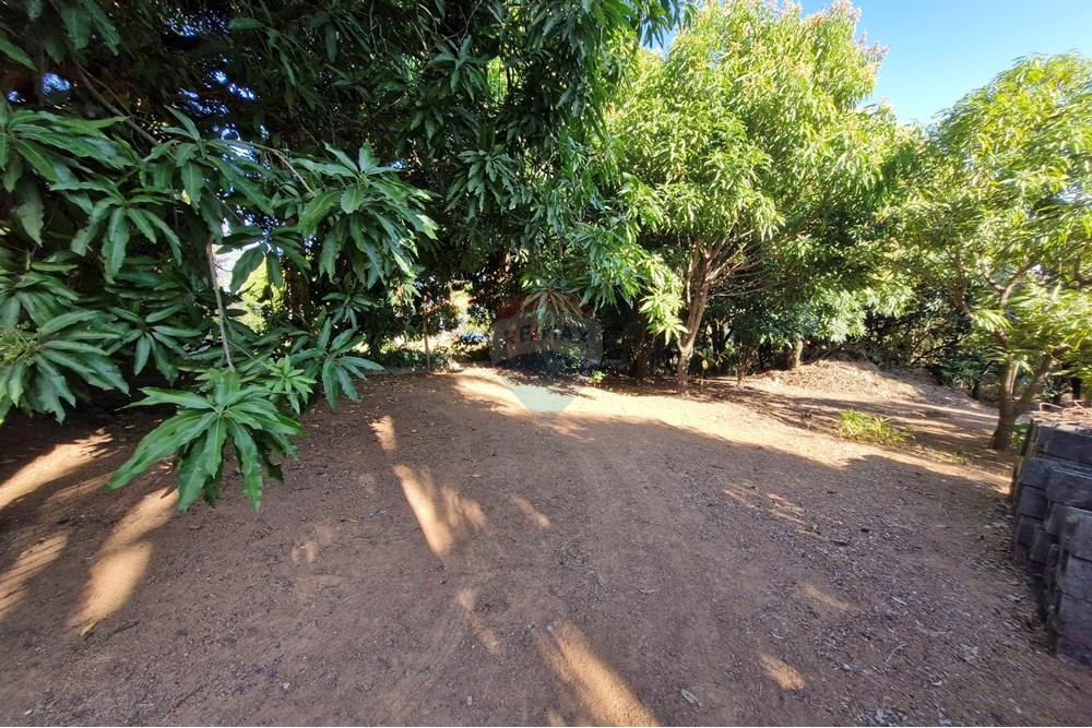 Terreno - Venda - Jaguariúna , São Paulo - 20250814_152735.jpg - 690671008-324