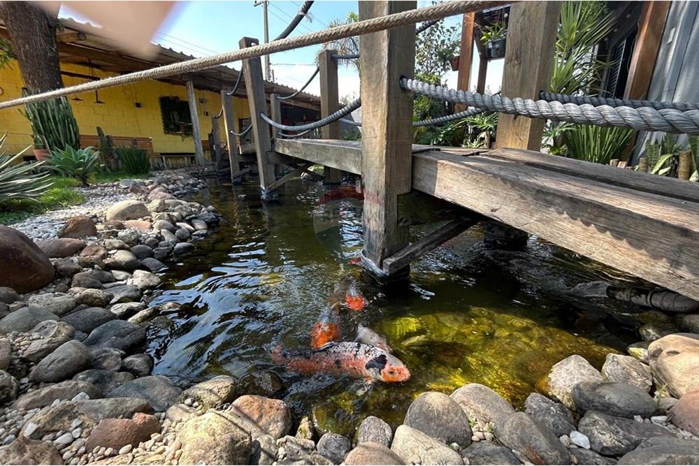 Chácara / Sítio / Fazenda - Venda - Campinas , São Paulo - IMG_5937.jpeg - 690531031-151