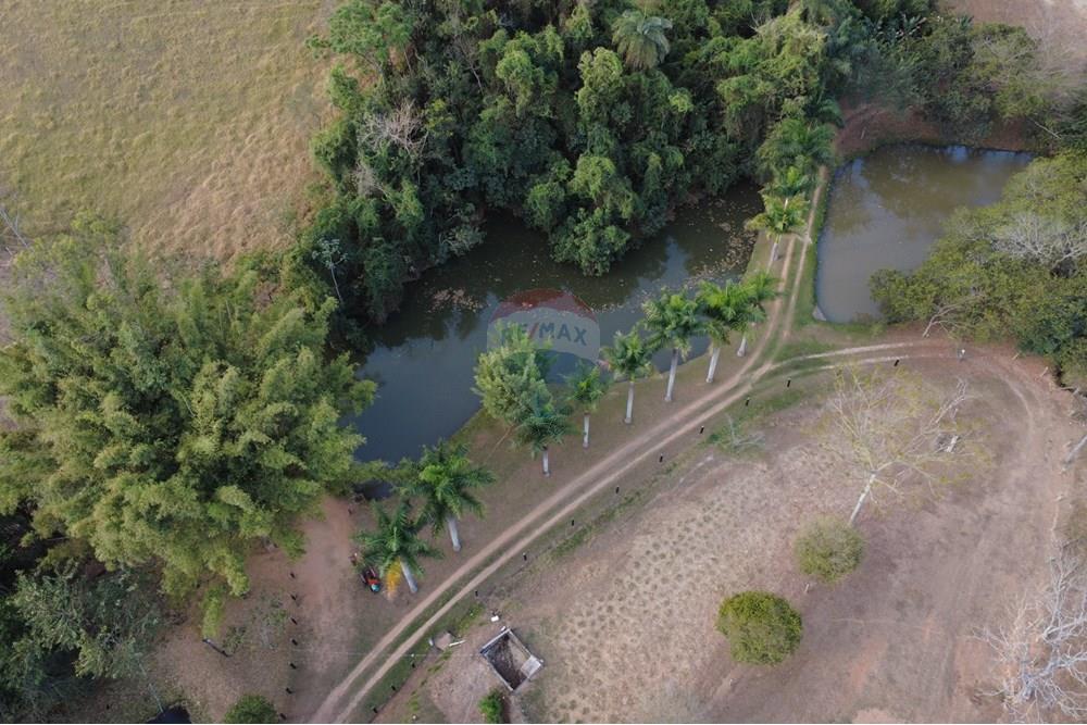 Chácara / Sítio / Fazenda - Venda - Itapira , São Paulo - DJI_0426.JPG - 690521005-184