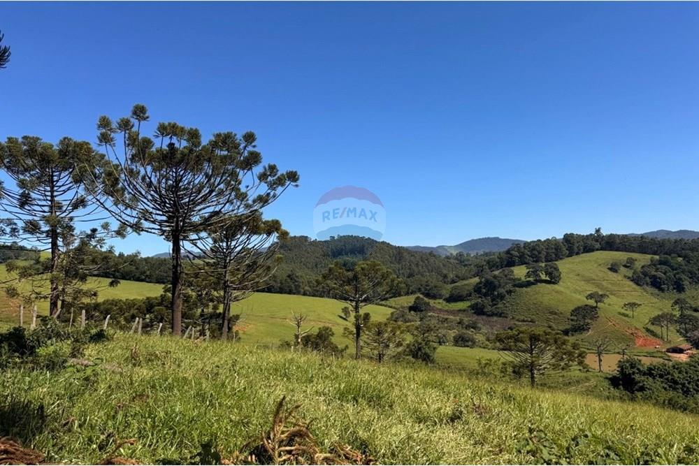 Chácara / Sítio / Fazenda - Venda - Joanópolis , São Paulo - photo_5019343269280201190_y.jpg - 690041001-120