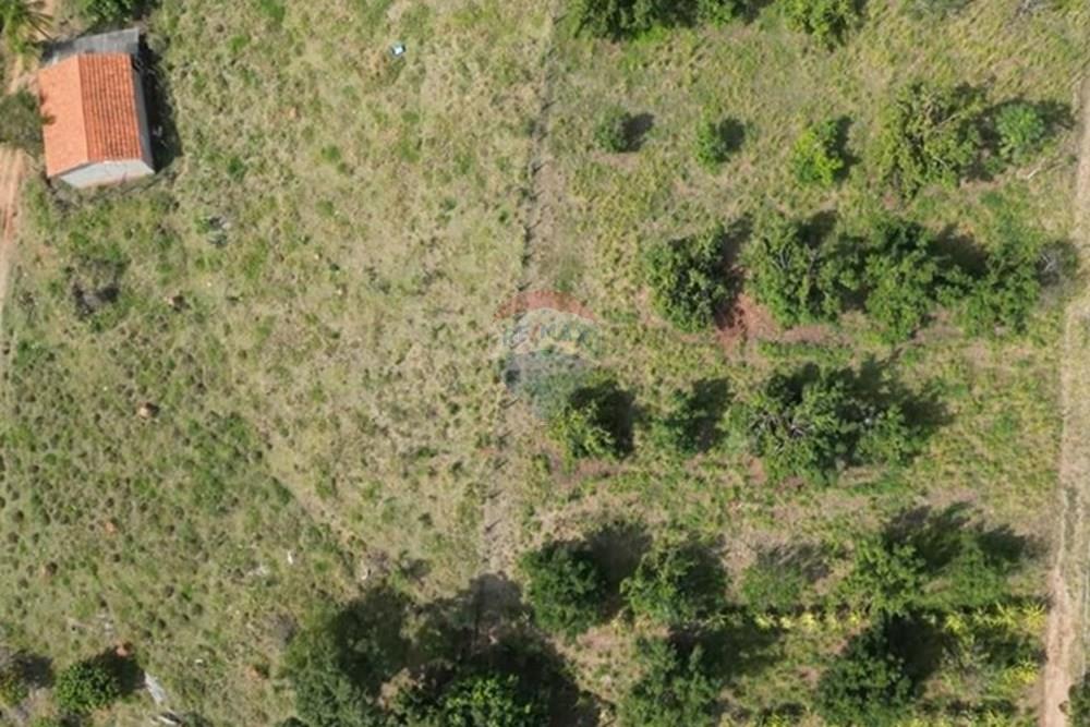 Chácara / Sítio / Fazenda - Venda - Itapira , São Paulo - IMG-20250713-WA0586.jpg - 690291085-364