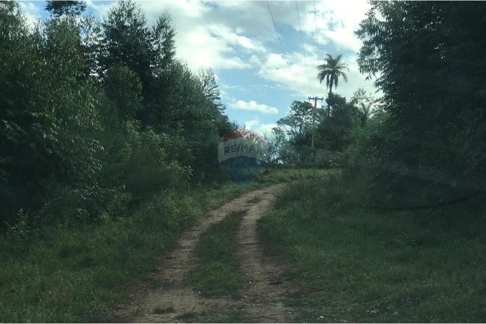 Chácara / Sítio / Fazenda - Venda - Socorro , São Paulo - IMG-20250520-WA0037.jpg - 690291056-39