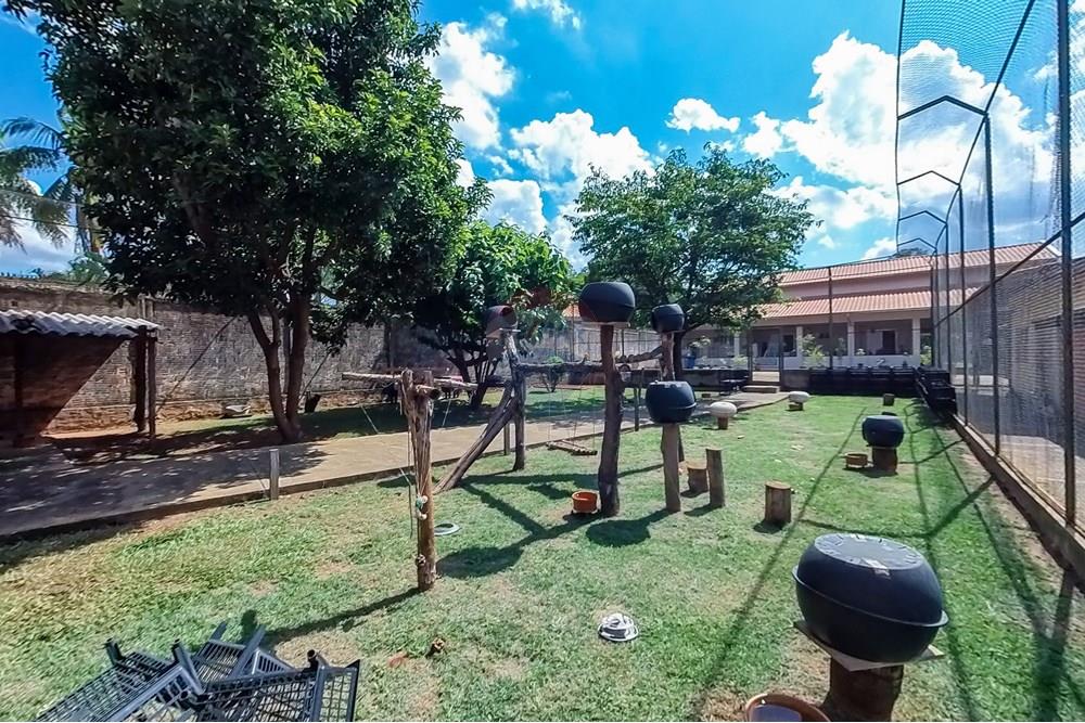 Chácara / Sítio / Fazenda - Venda - Araras , São Paulo - Tratada-61.jpg - 690691027-157