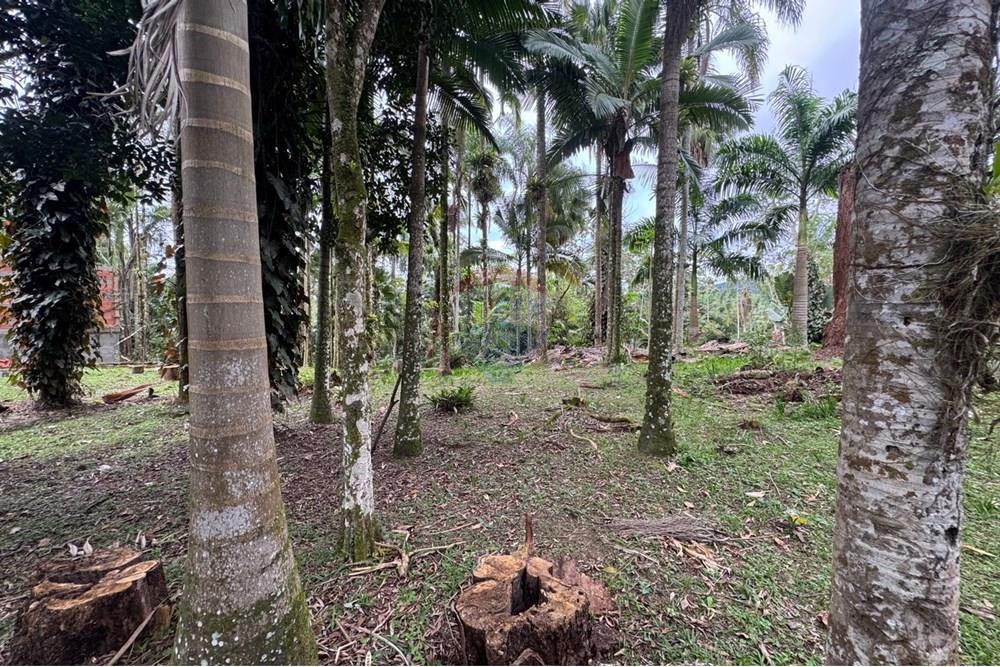 Terreno - Venda - Peruíbe , São Paulo - IMG-20251017-WA0098.jpg - 691111009-61