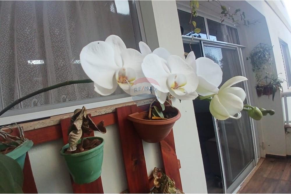 Apartamento - Alugar - Mogi Guaçu , São Paulo - 6e3a08de-da86-4071-a798-2987a5052dab.jpg - Varanda - 690521118-184