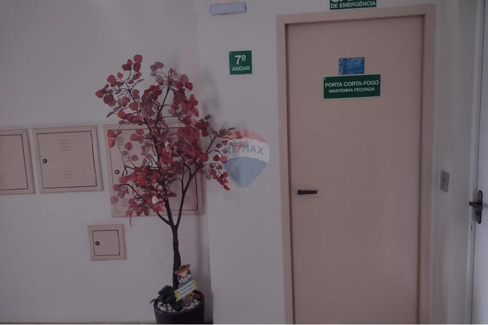 Apartamento - Alugar - Osasco , São Paulo - Imagem do WhatsApp de 2025-11-28 à(s) 18.03.45_98595dfe.jpg - 691021040-1