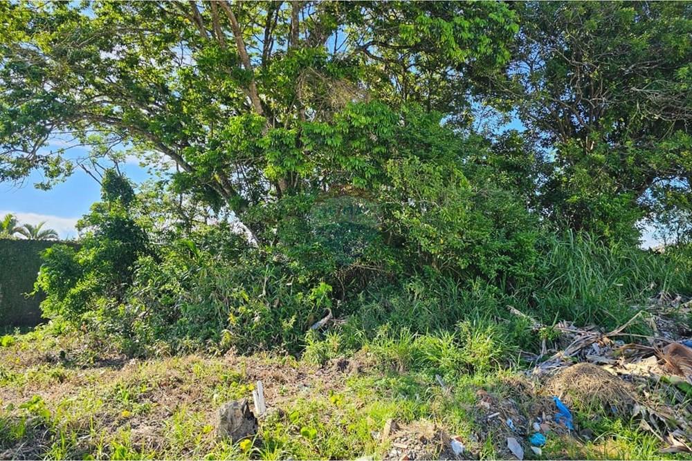 Terreno - Venda - Peruíbe , São Paulo - WhatsApp Image 2026-01-19 at 14.44.18.jpeg - 691111010-108