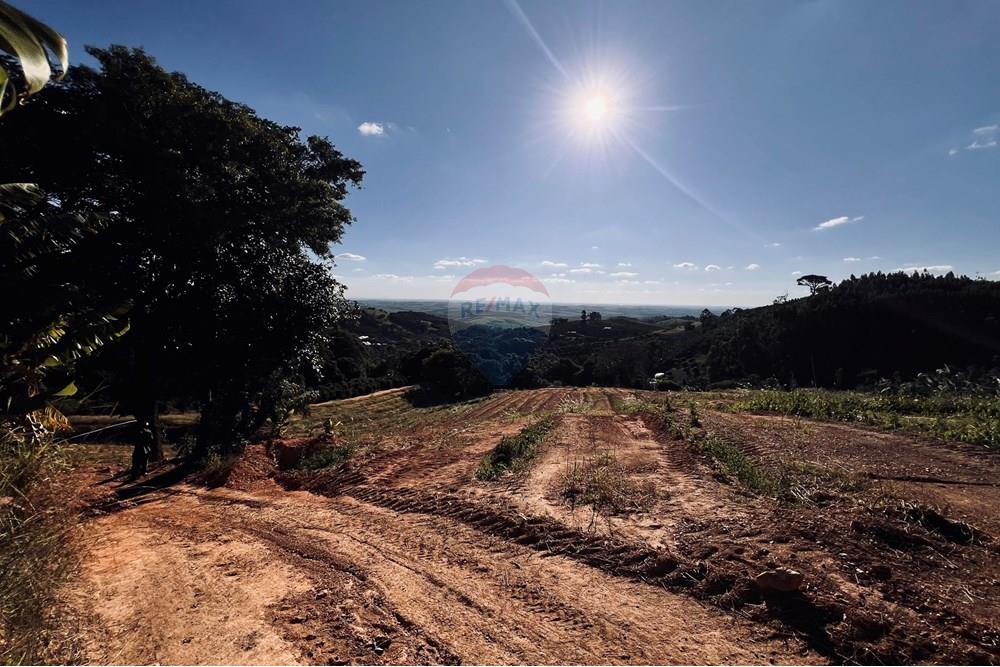 Chácara / Sítio / Fazenda - Venda - Serra Negra , São Paulo - IMG_4692.jpg - 690291056-34