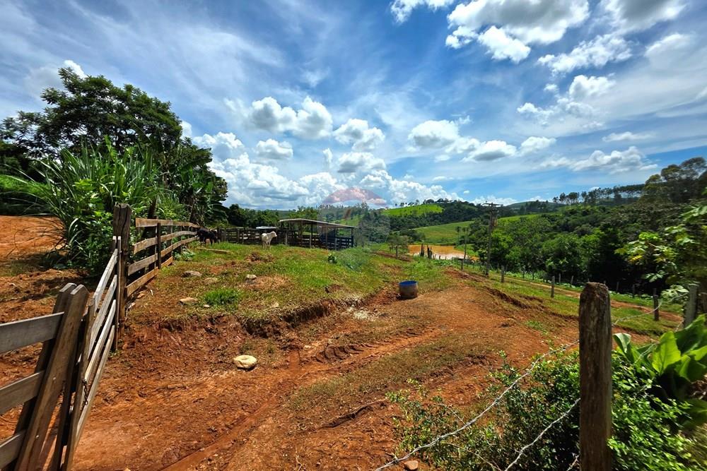 Chácara / Sítio / Fazenda - Venda - Itapira , São Paulo - 20260214_110433 (1).jpg - 690291072-26