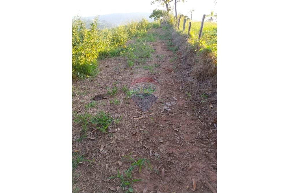 Terreno - Venda - Lindóia , São Paulo - IMG-20250507-WA0035.jpg - 690291056-36