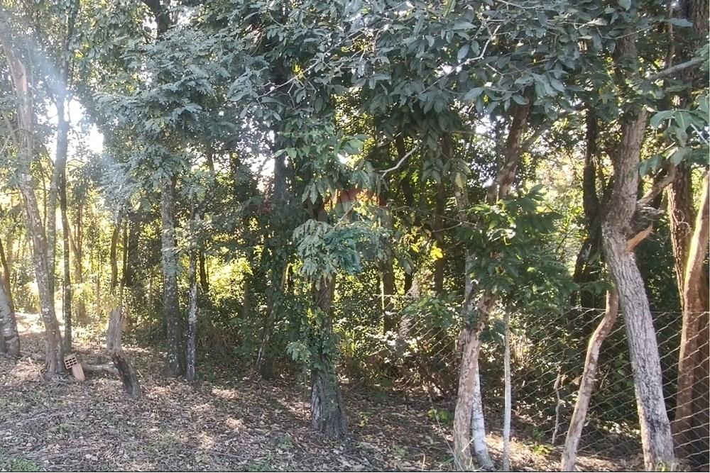 Terreno - Venda - Jaguariúna , São Paulo - 15.JPG - Quintal - 690671070-9