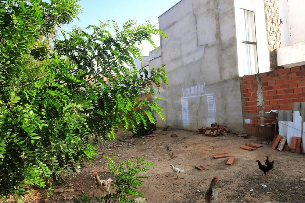 Terreno - Venda - Hortolândia , São Paulo - 75caf999-bc37-4938-bdbf-ee14cba133c8.jpg - 690531057-95