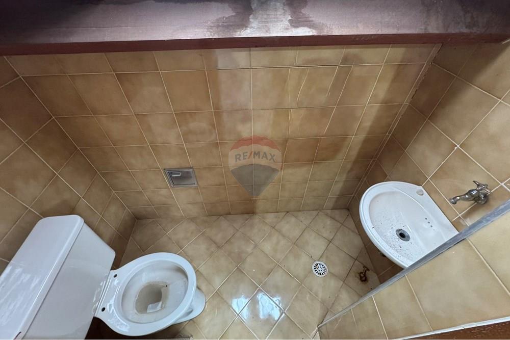 Casa Comercial - Alugar - Campinas , São Paulo - IMG_6913.JPEG - 691181013-20