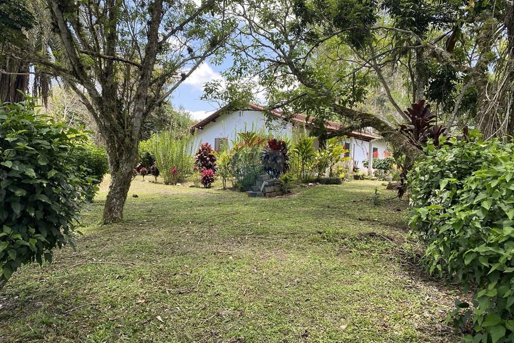 Fazenda - Venda - Pariquera-Açu , São Paulo - IMG_6141.jpg - 690061038-24