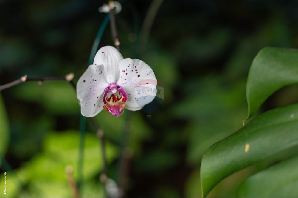 Casa de Condomínio - Venda - Valinhos , São Paulo - TKD-10456.jpg - 690491084-83
