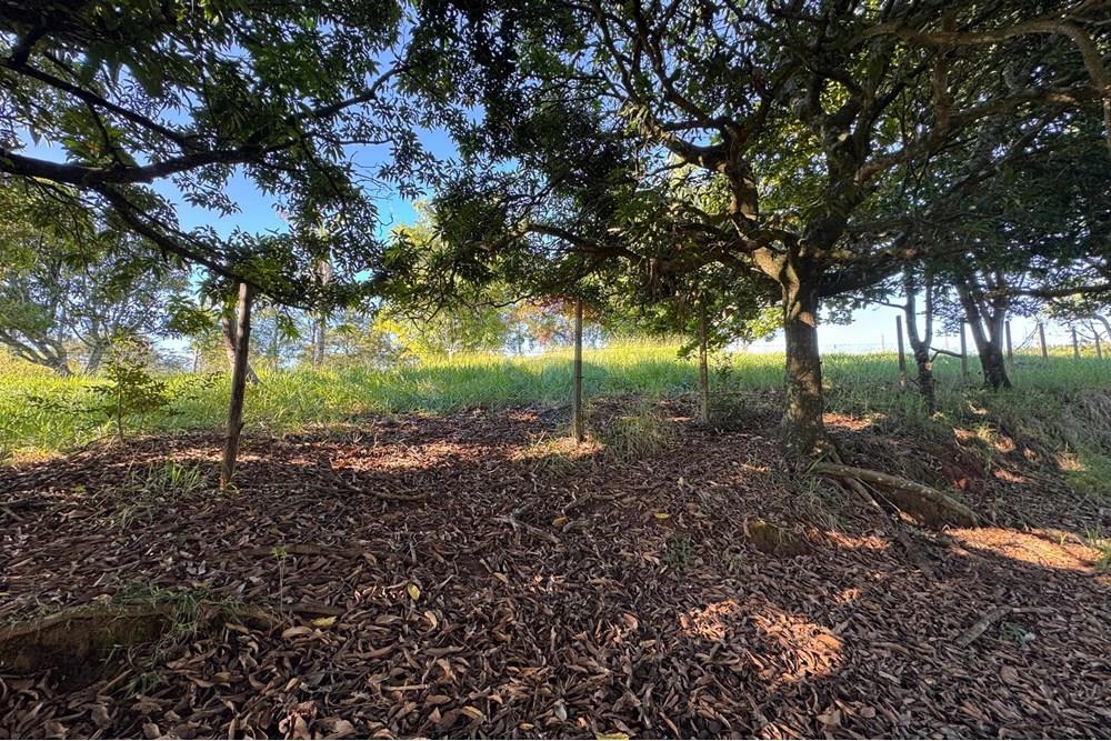 Terreno - Venda - Bragança Paulista , São Paulo - H - Foto Terreno Portal Barragem Jacareí 17.jpg - 690041052-92