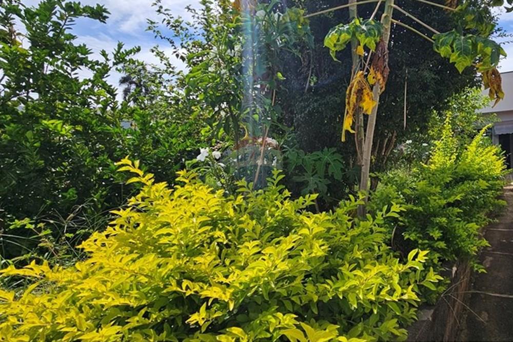 Casa - Alugar - Itapira , São Paulo - 20260112_095653.jpg - 690291048-194