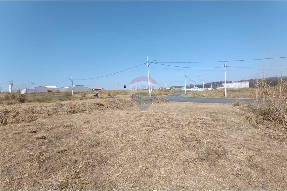 Terreno - Venda - Mogi Guaçu , São Paulo - WhatsApp Image 2025-07-22 at 13.07.02 (1).jpeg - Quintal - 690521005-196