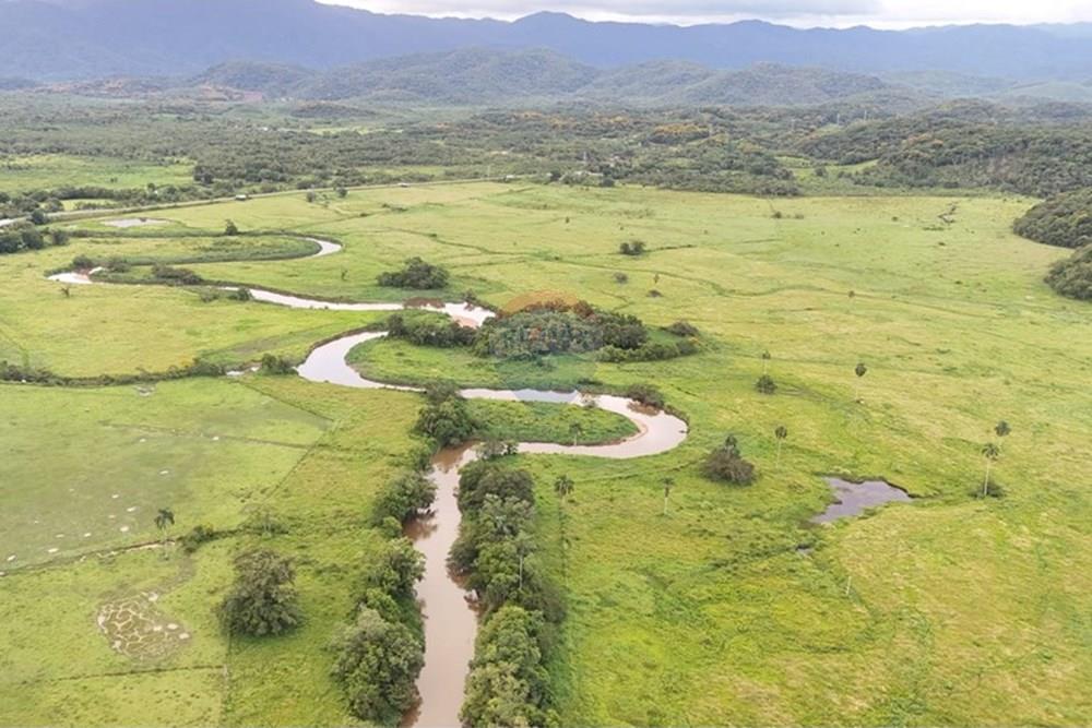 Fazenda - Venda - Sete Barras , São Paulo - 28.jpeg - 690061037-11