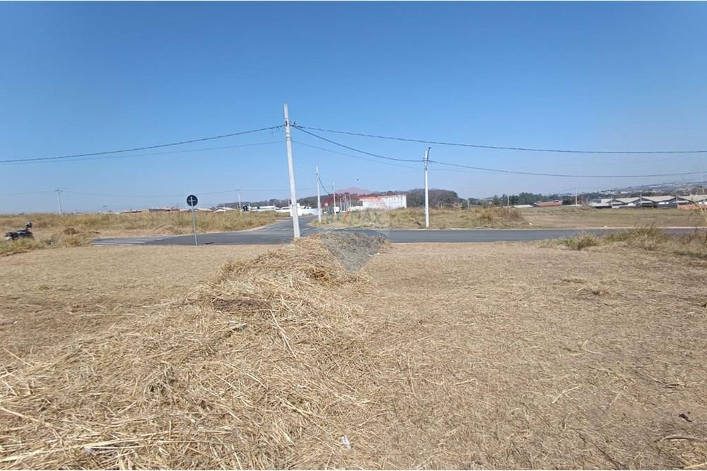 Terreno - Venda - Mogi Guaçu , São Paulo - WhatsApp Image 2025-07-22 at 13.07.00 (2).jpeg - Quintal - 690521005-196