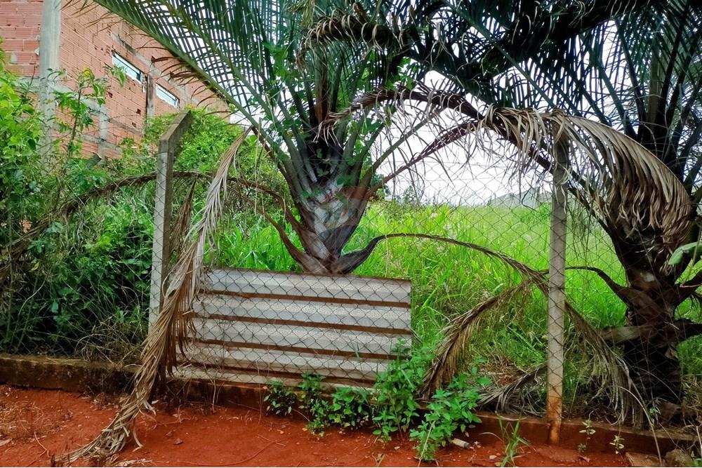 Chácara / Sítio / Fazenda - Venda - Cosmópolis , São Paulo - chácara 4.jpg - Fachada - 690831047-333