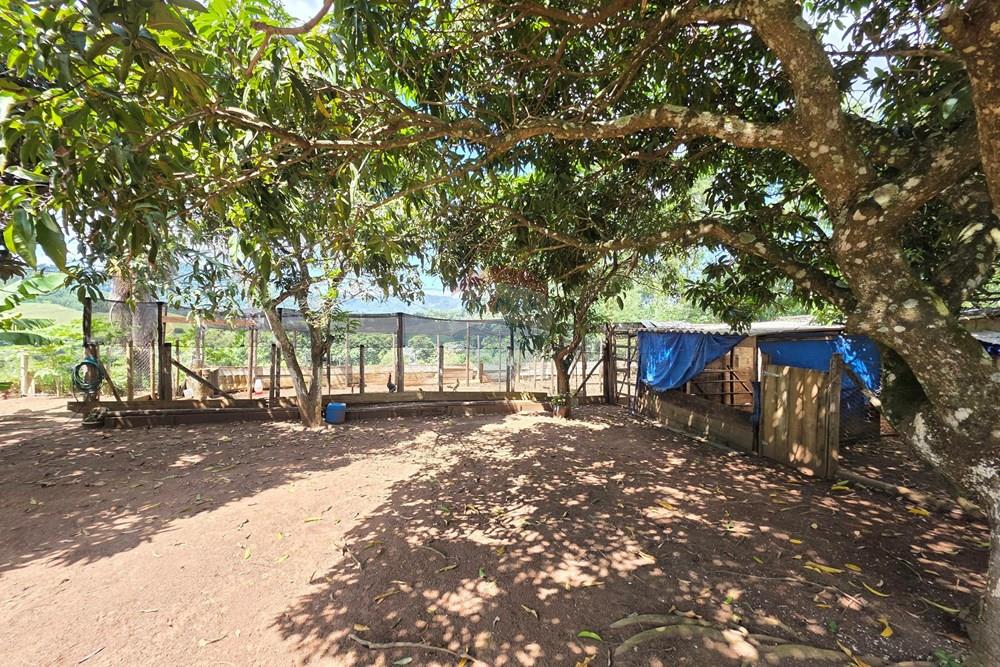 Chácara / Sítio / Fazenda - Venda - Bragança Paulista , São Paulo - 20260324_132049.jpg - 690041041-57
