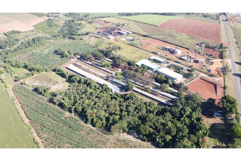 Chácara / Sítio / Fazenda - Venda - Conchal , São Paulo - DJI_0234.JPG - 690751019-291