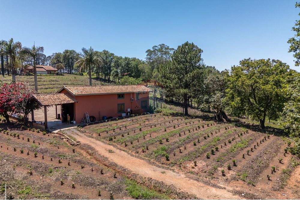 Chácara / Sítio / Fazenda - Venda - Morungaba , São Paulo - TKD-9530.jpg - 690661002-89