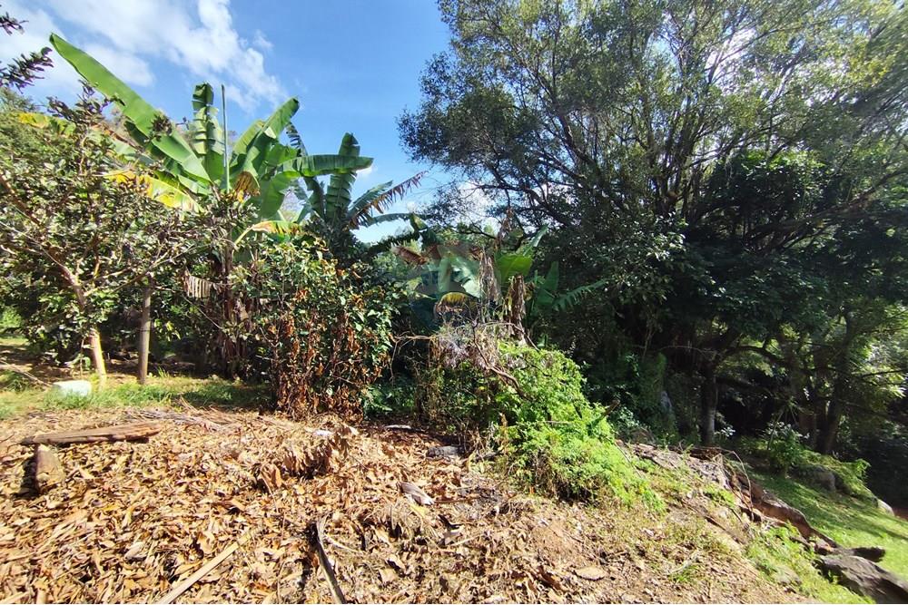 Chácara / Sítio / Fazenda - Venda - Itapira , São Paulo - 1751510168922.jpg - 690291085-364