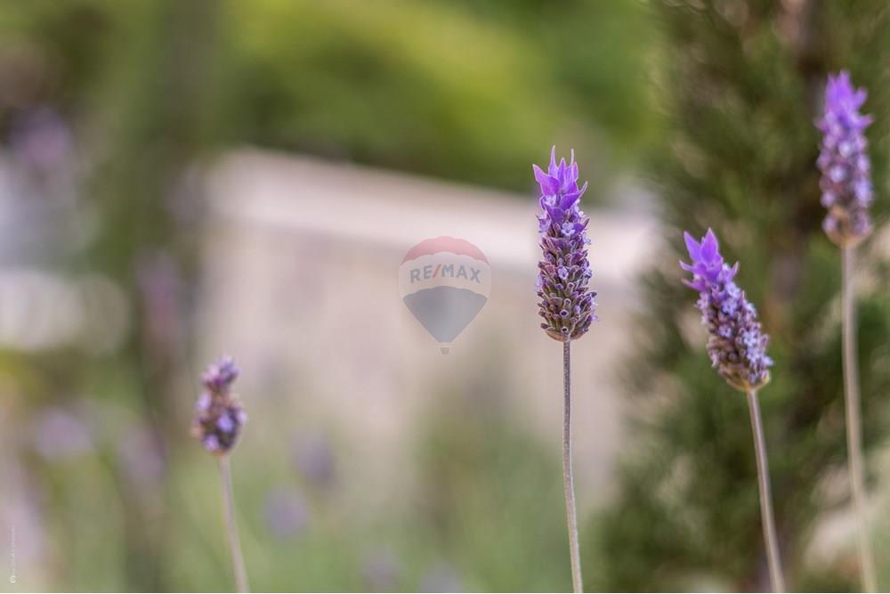 Casa de Condomínio - Venda - Louveira , São Paulo - TKD-14779.jpg - 690941025-177