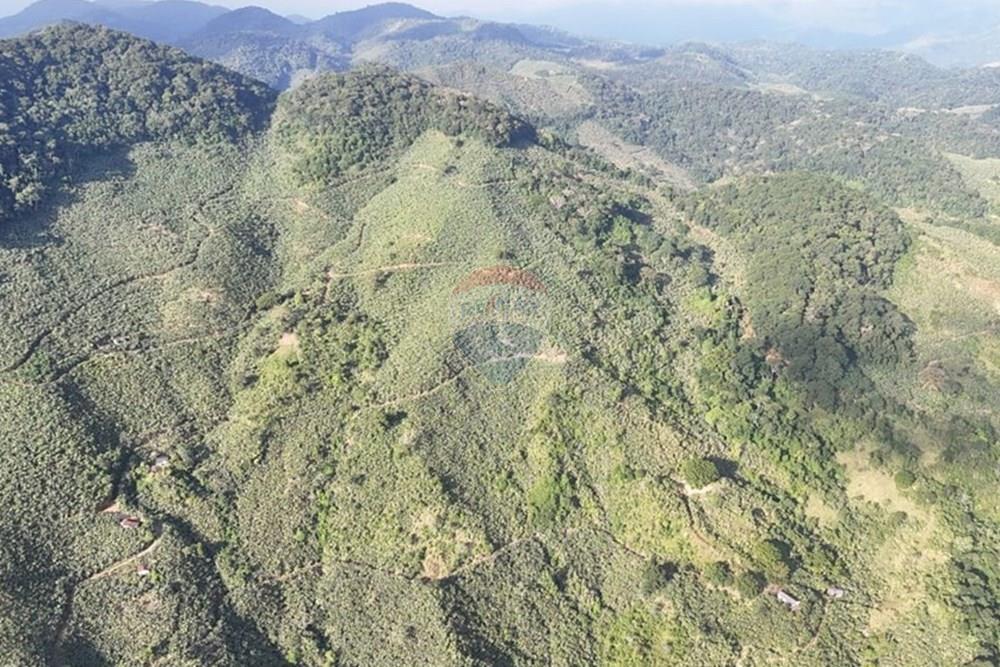 Fazenda - Venda - Miracatu , São Paulo - WhatsApp Image 2025-06-02 at 19.50.03.jpeg - 690061038-8