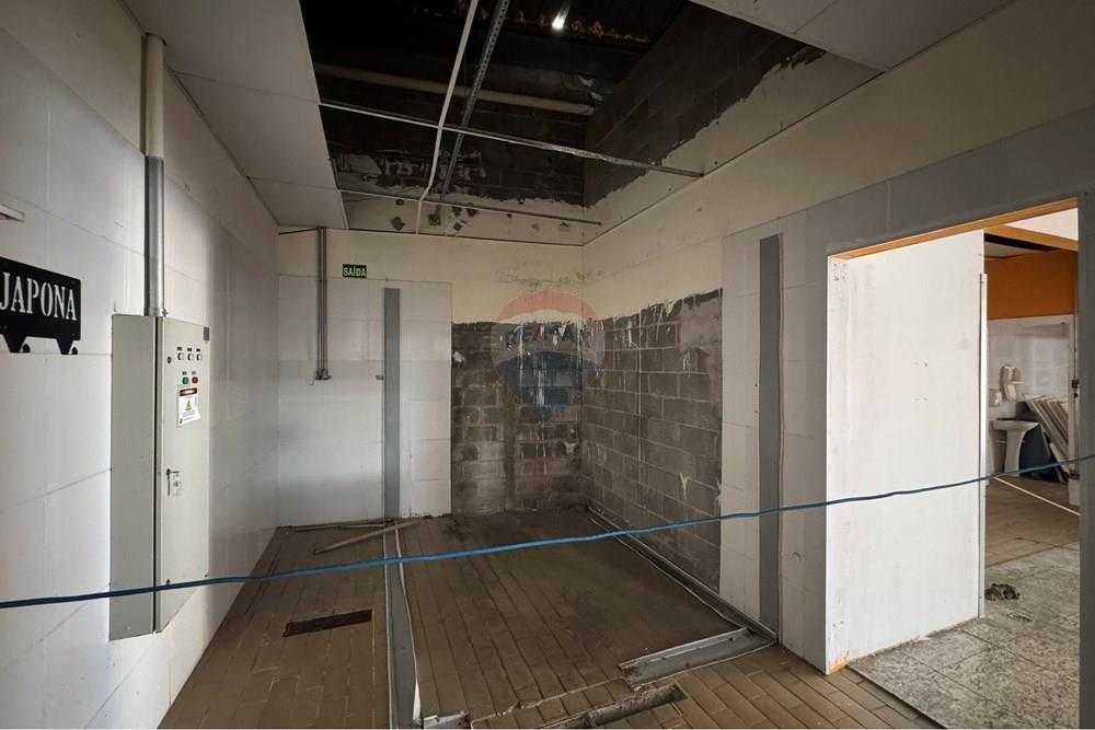 Galpão - Alugar - Campinas , São Paulo - IMG_6296.JPEG - 691181013-18