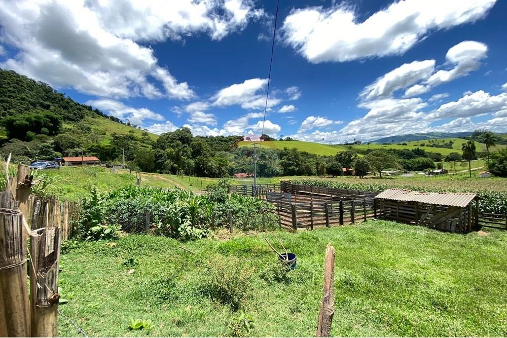Chácara / Sítio / Fazenda - Venda - Lindóia , São Paulo - Imagem do WhatsApp de 2025-02-25 à(s) 19.33.42_26cc33f3.jpg - 690291077-296