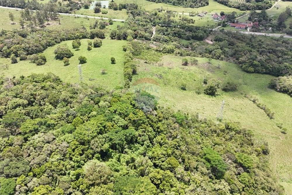 Fazenda - Venda - Pariquera-Açu , São Paulo - WhatsApp Image 2026-03-18 at 16.42.16.jpeg - 690061038-24