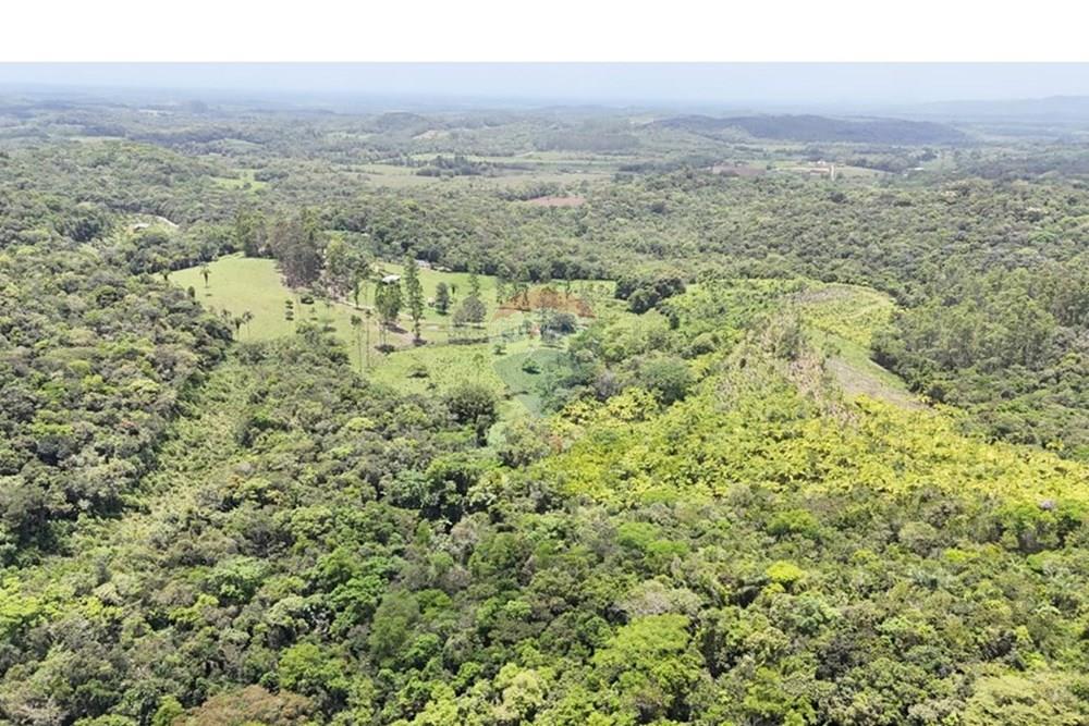 Fazenda - Venda - Pariquera-Açu , São Paulo - WhatsApp Image 2026-03-18 at 16.42.19.jpeg - 690061038-24