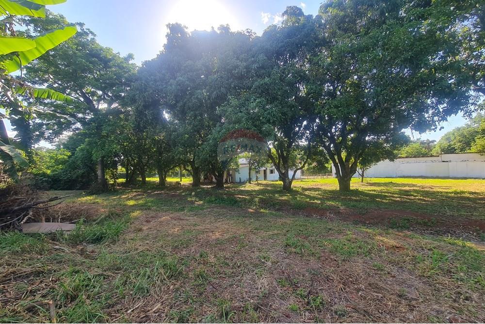 Agro - Alugar - Artur Nogueira , São Paulo - 20251120_160150.jpg - 690671009-93