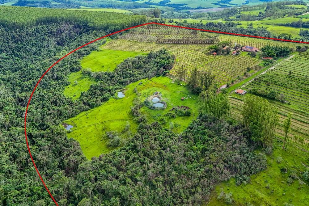 Fazenda - Venda - Analândia , São Paulo - Tratada - Drone-33.jpg - 690691016-305