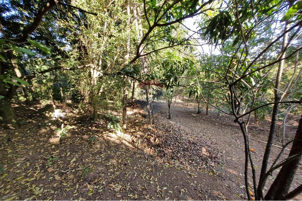 Residential - Land - Jaguariúna , Sao Paulo - BR - 20250814_151901.jpg - 690671008-326