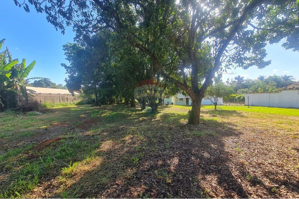 Agro - Alugar - Artur Nogueira , São Paulo - 20251120_160218.jpg - 690671009-93