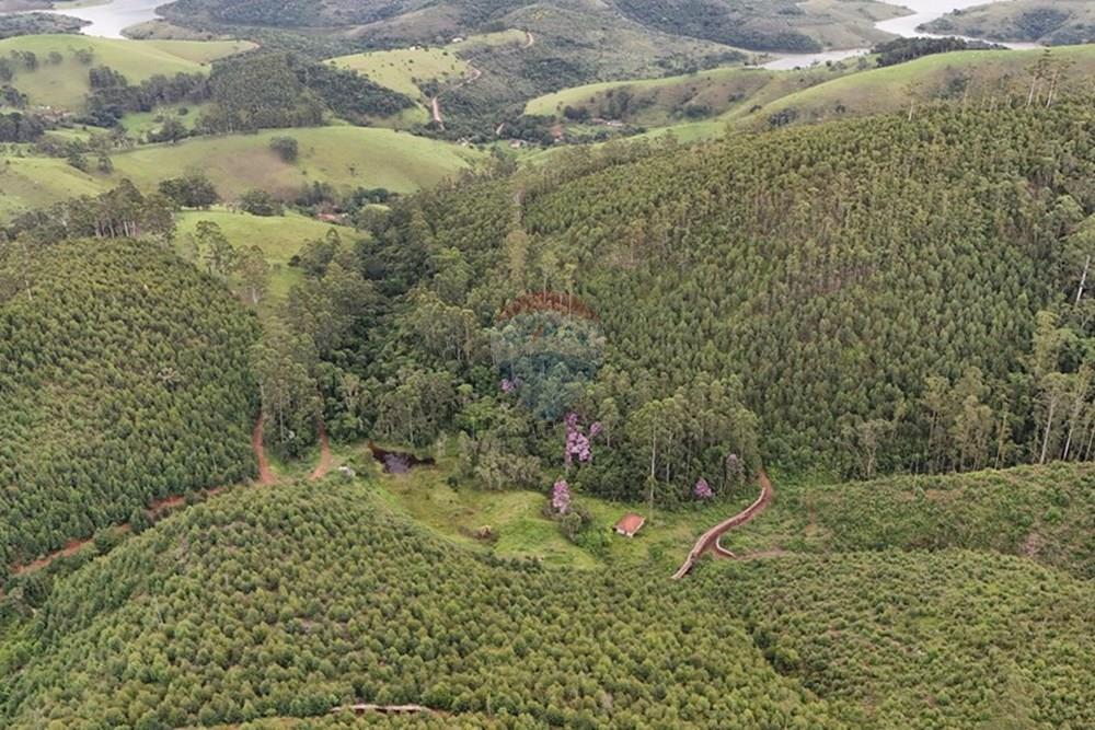 Chácara / Sítio / Fazenda - Venda - Piracaia , São Paulo - dji_fly_20260224_171646_0074_1771962331321_photo.jpg - 691011027-7