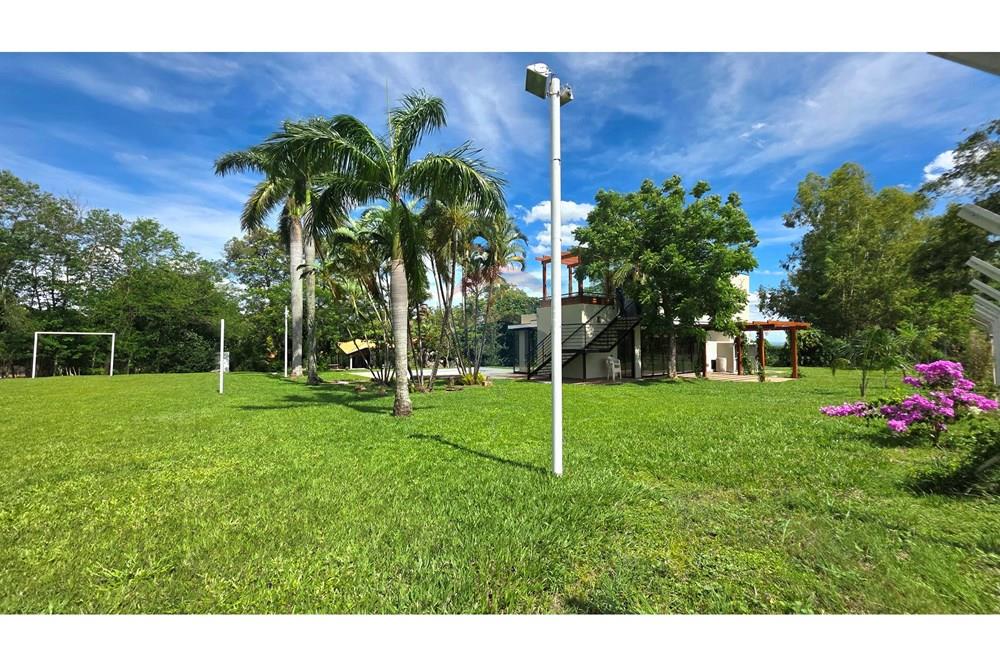 Chácara / Sítio / Fazenda - Venda - Mogi Mirim , São Paulo - 20251211_142126.jpg - 690751019-444