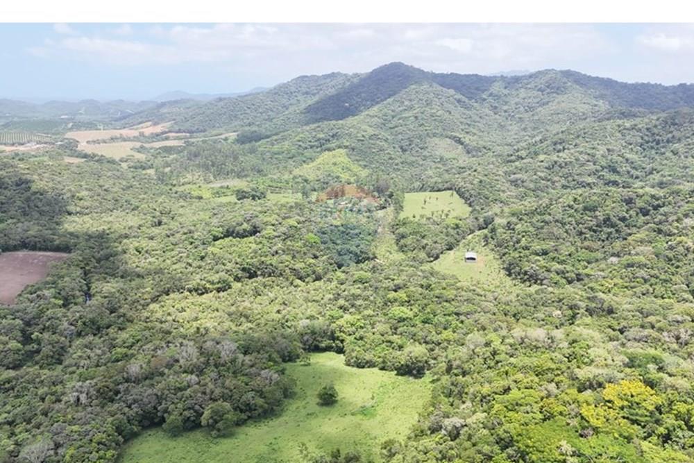 Fazenda - Venda - Pariquera-Açu , São Paulo - WhatsApp Image 2026-03-18 at 16.42.14 (1).jpeg - 690061038-24